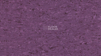 Линолеум Gerflor Mipolam Accord 0348 AURORA фото 1 | FLOORDEALER